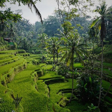 Villa Seremi Ubud Payangan Exterior foto